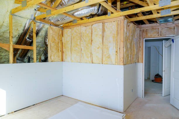 Best Eco-Friendly Insulation in Snowmass Village, CO