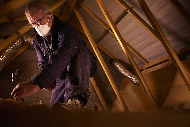 Best Geographic-Specific Insulation Services in Snowmass Village, CO